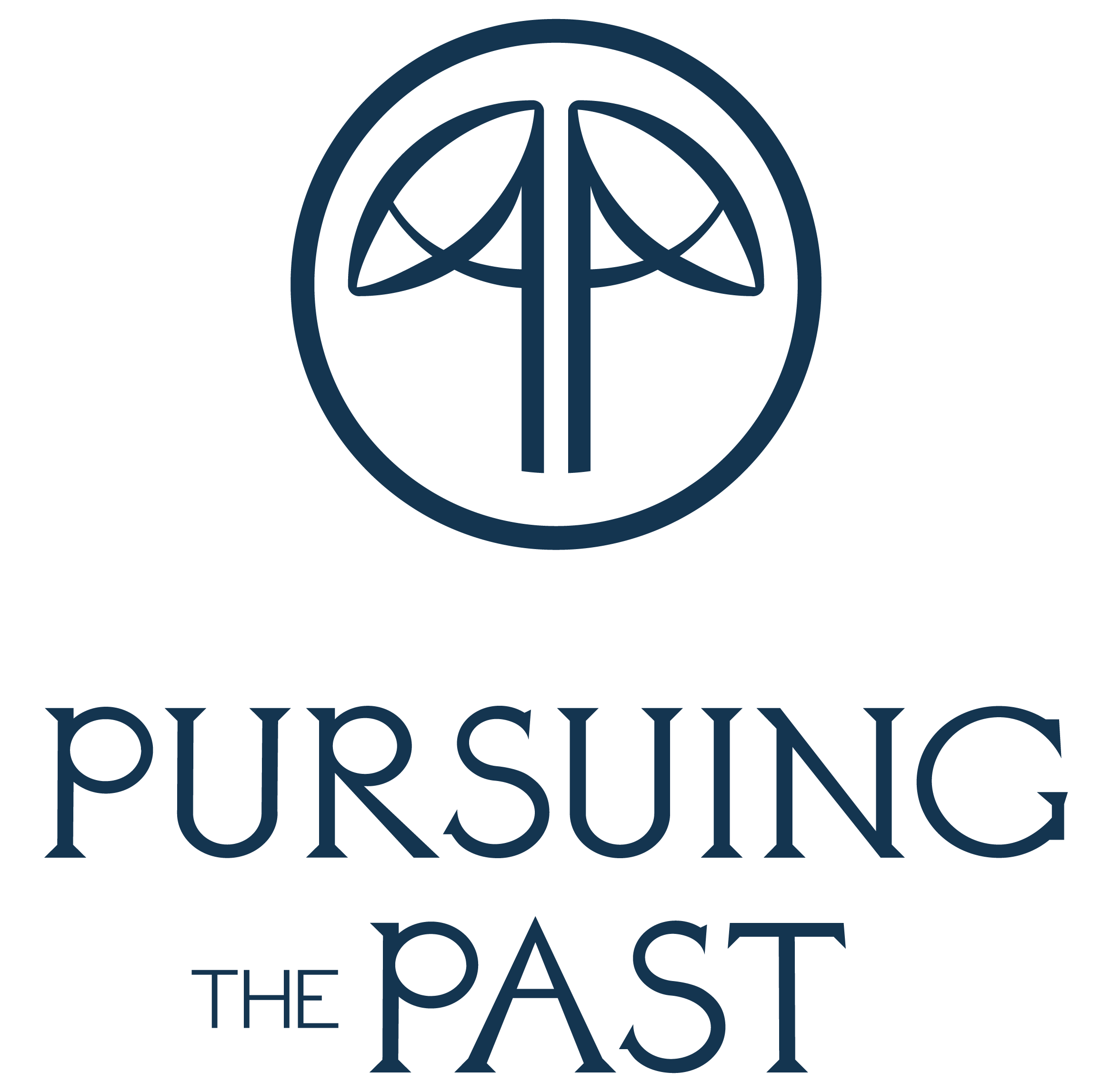 Pursuing the Past