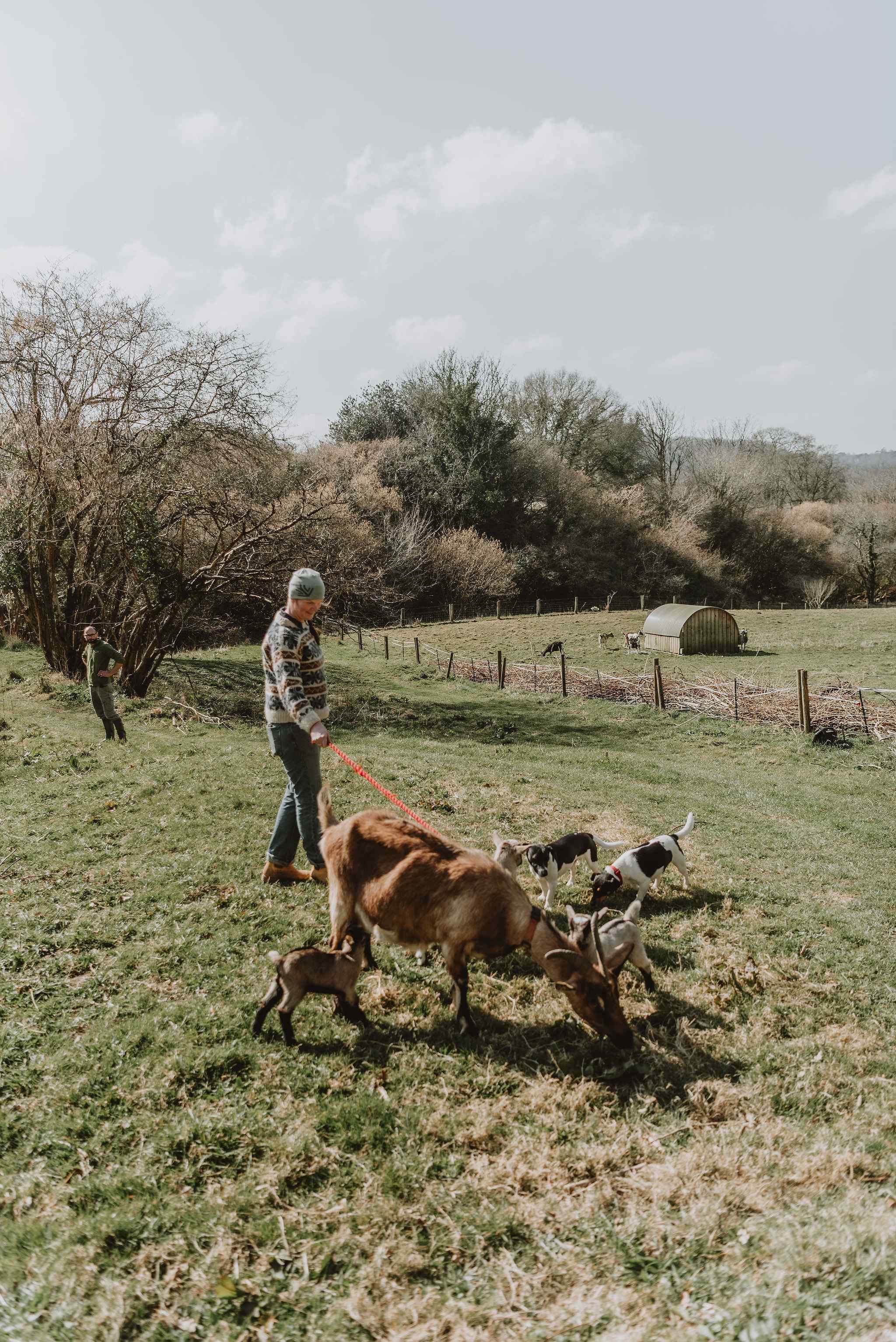 Walking the baby goats outside for the first time at Foxesflot farm